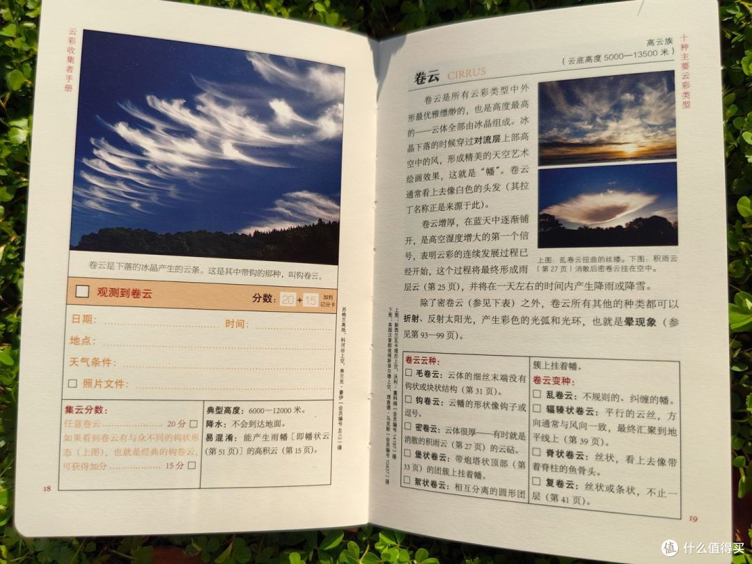 原来每一朵云都有自己的名字