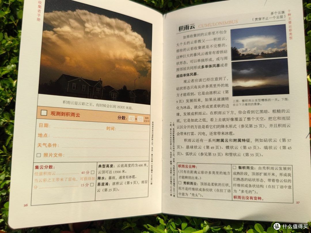 原来每一朵云都有自己的名字