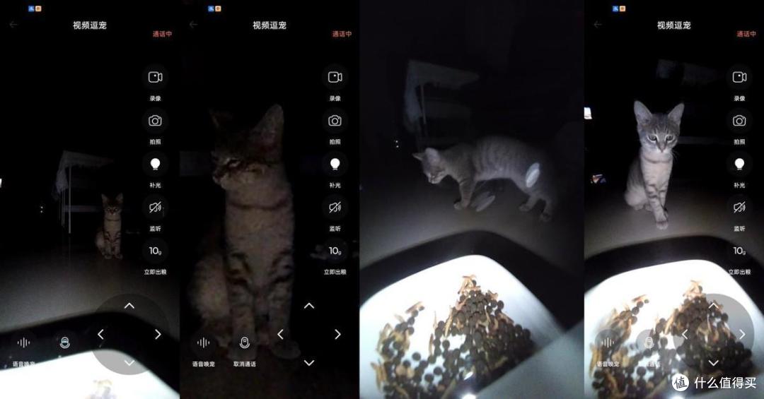 宠咕咕宠物智能喂食器无忧养宠,猫奴也能自由出门旅游了
