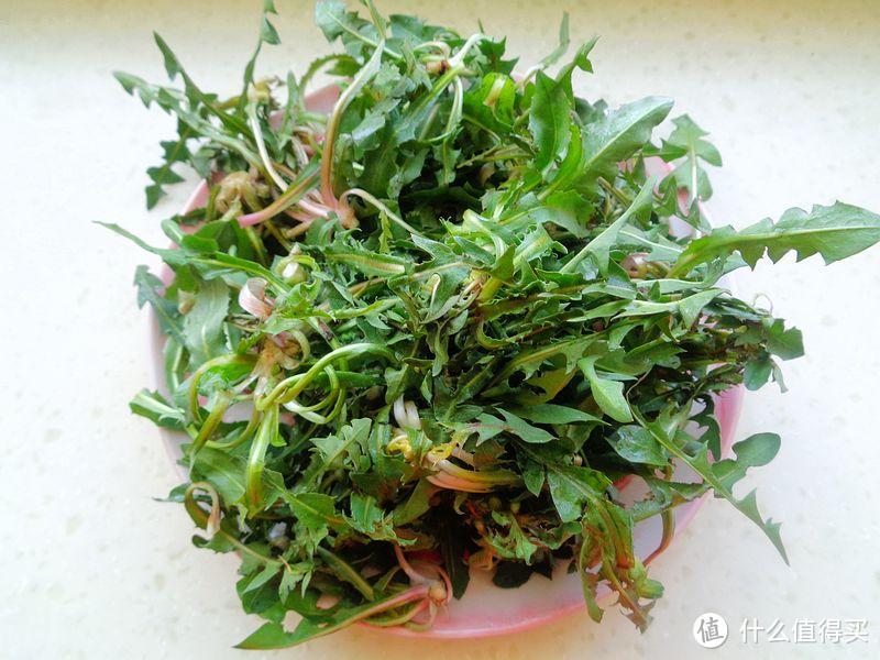 这野菜全身都是宝，做法简单，吃起来那叫爽