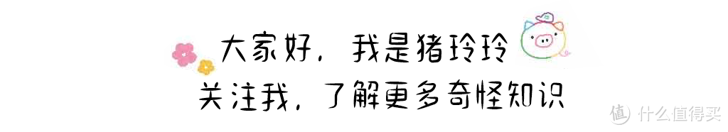 入门摄影没动力？跟玲玲一起买微距镜头吧！直出必有好图哦