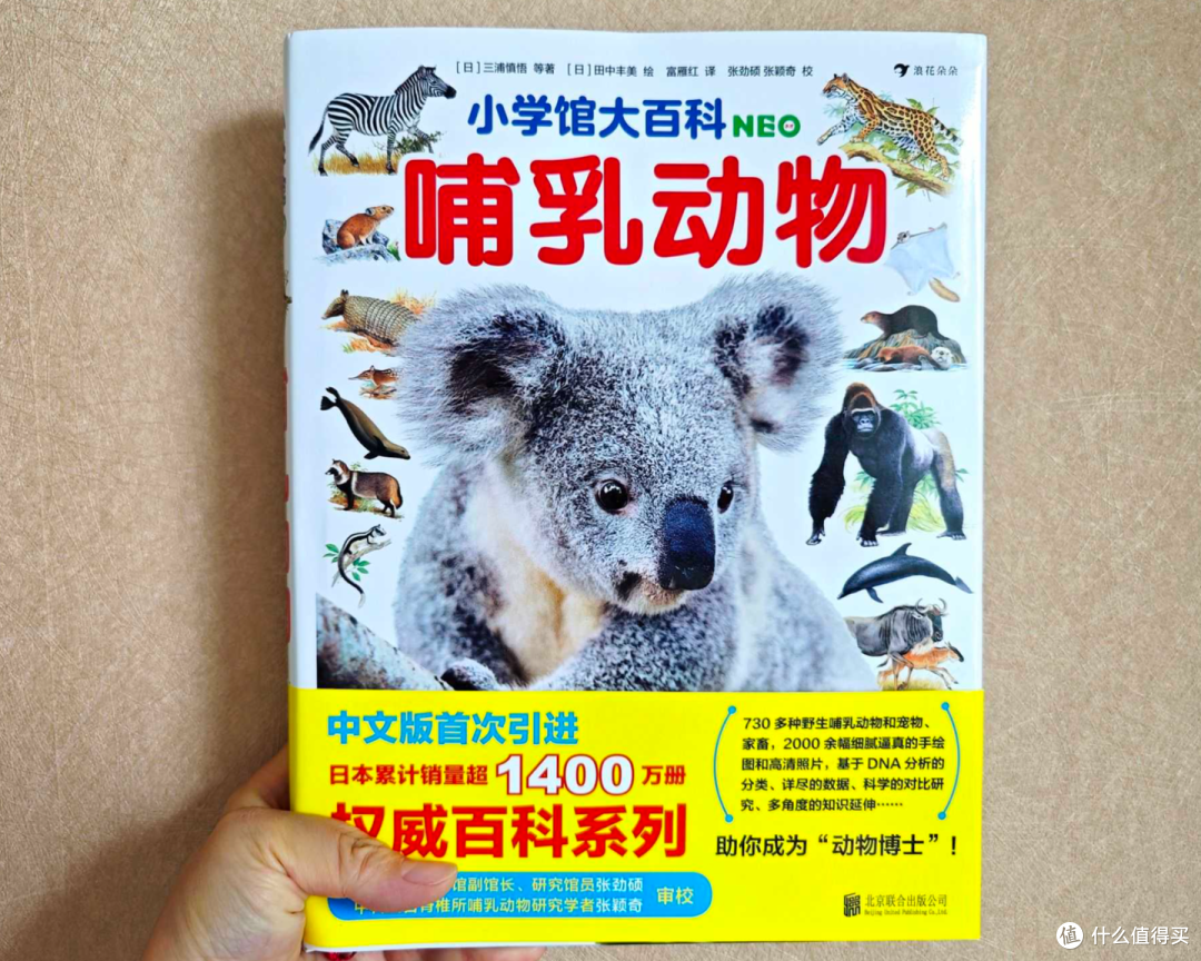 给小学生的暑假清单:掌握这两个原则,给孩子挑选童书不踩坑!