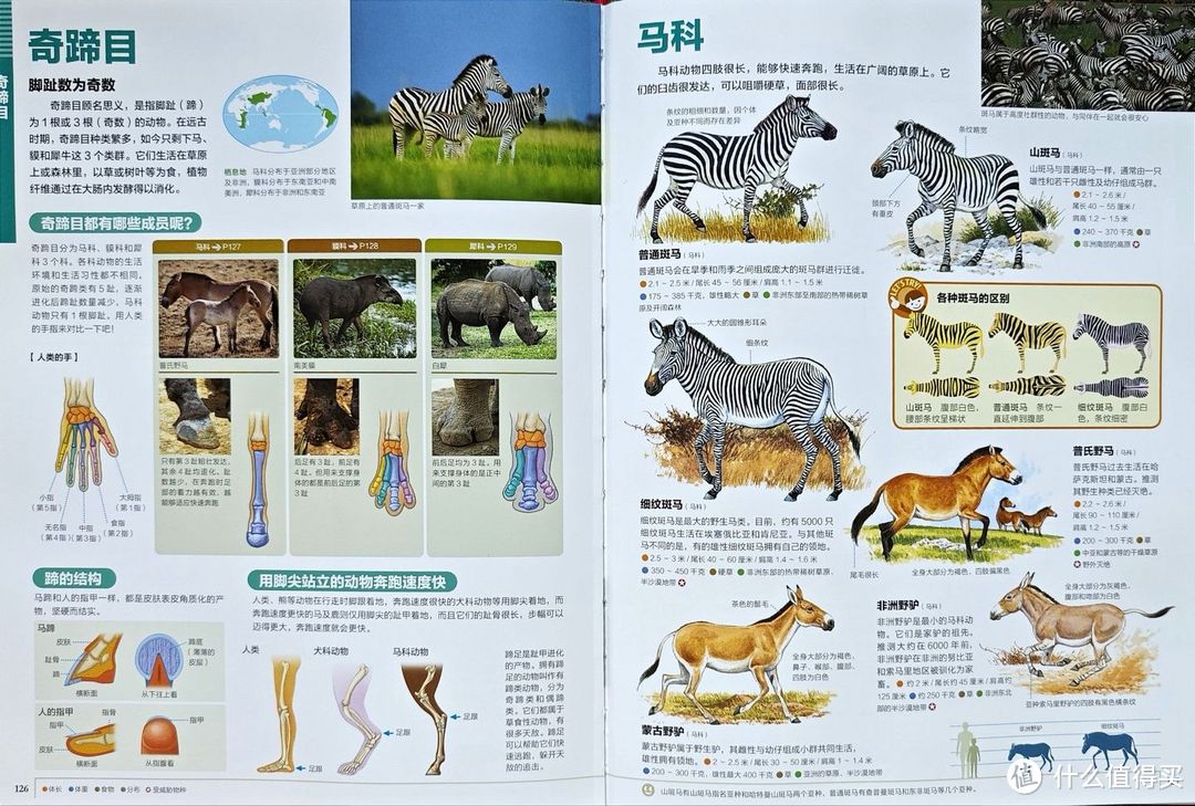 给小学生的暑假清单:掌握这两个原则,给孩子挑选童书不踩坑!