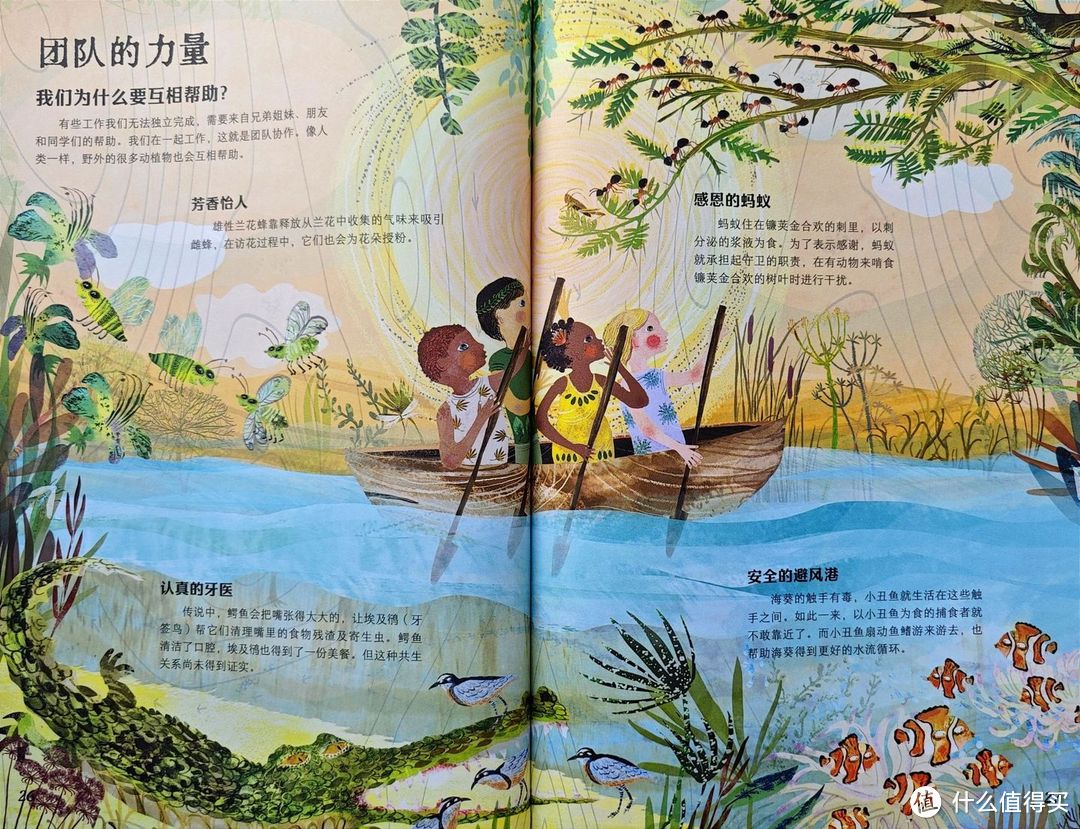 给小学生的暑假清单:掌握这两个原则,给孩子挑选童书不踩坑!