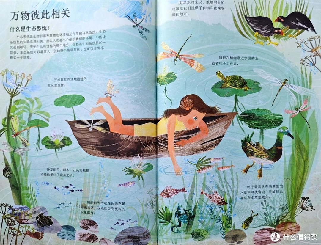 给小学生的暑假清单:掌握这两个原则,给孩子挑选童书不踩坑!
