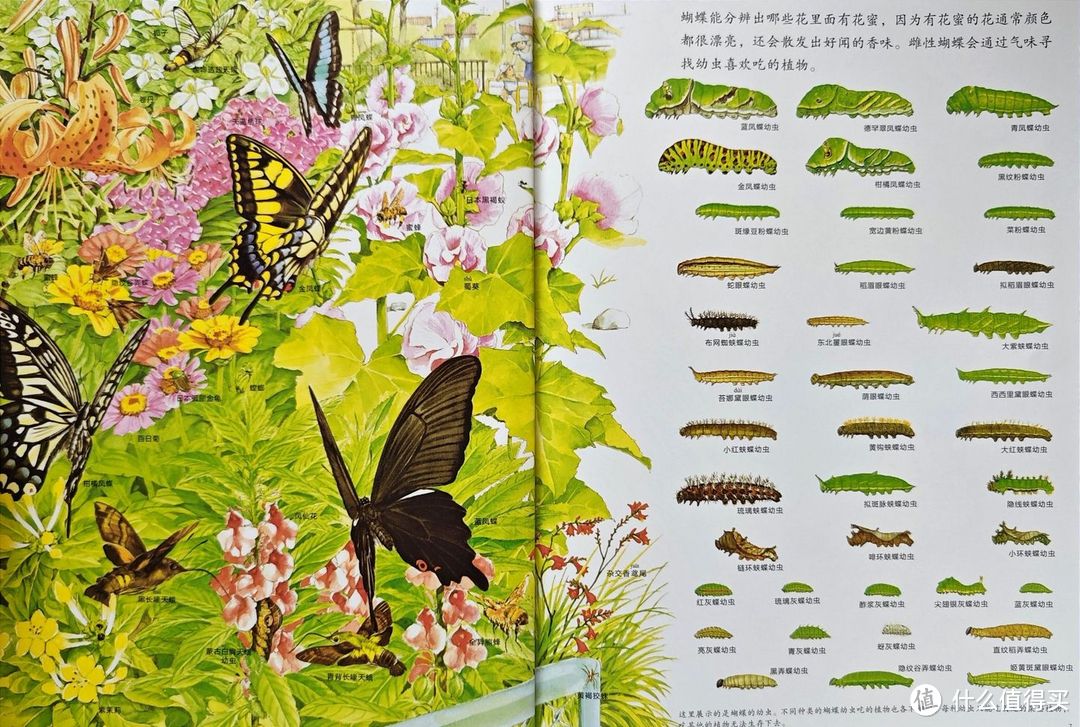 给小学生的暑假清单:掌握这两个原则,给孩子挑选童书不踩坑!
