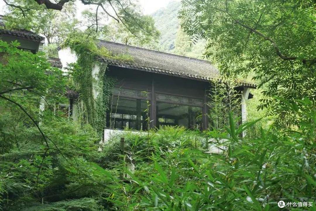 来杭州出差,时间不多又想看美景,去这两个地方逛逛,准没错!