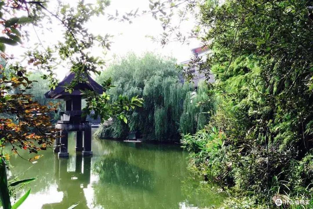来杭州出差,时间不多又想看美景,去这两个地方逛逛,准没错!