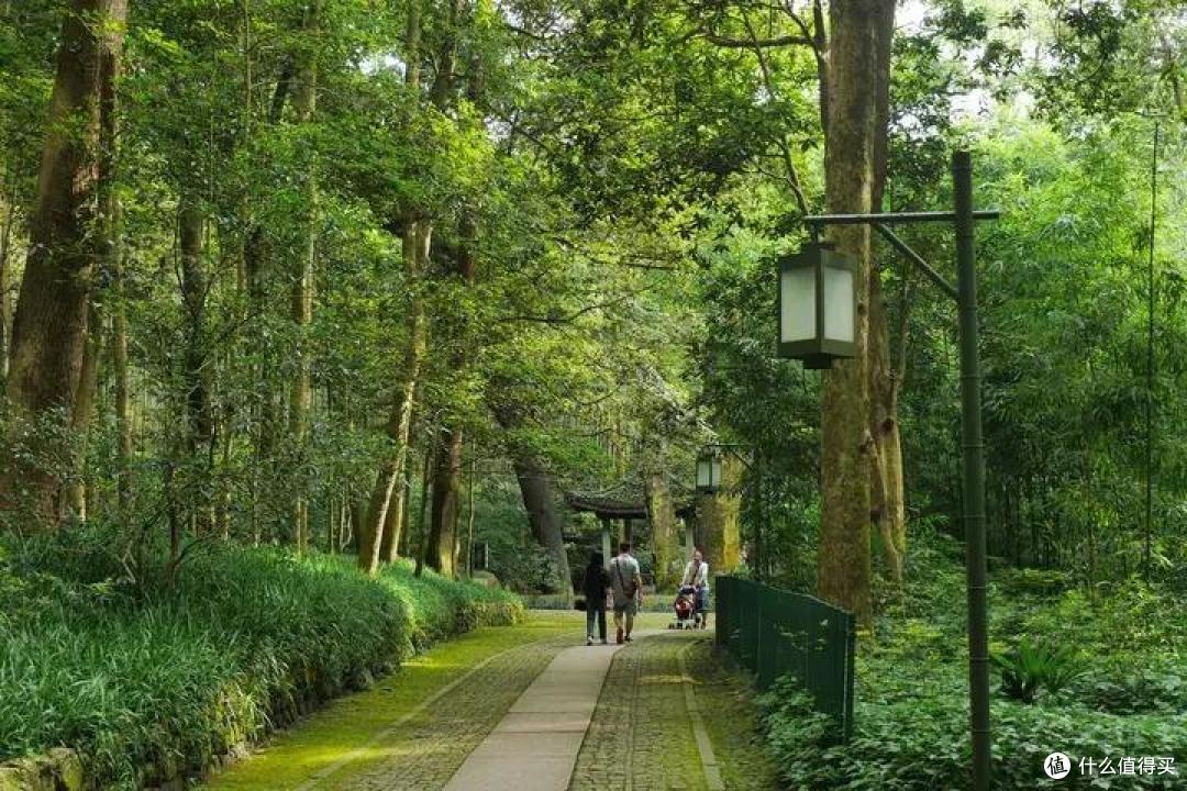来杭州出差,时间不多又想看美景,去这两个地方逛逛,准没错!