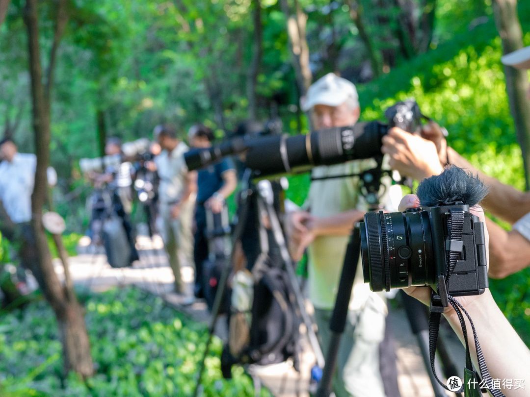 技术不够装备来凑，索尼ZV-E1真定位新手？轻便全画幅Vlog无反相机优势何在？Vlog初学者的入门心得分享