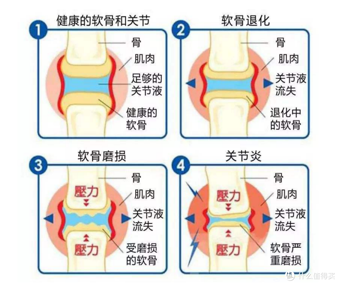 关节老化，运动总是损伤？不要担心，船长带您详尽盘点国内外氨糖软骨素产品，助您健步如飞。