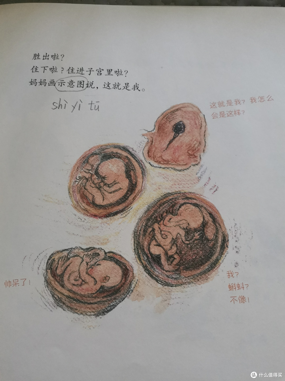 你知道你出生的故事么?