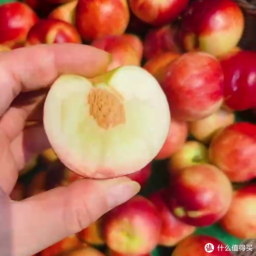 油桃满树宛若火,小巧红灯笼挂枝。