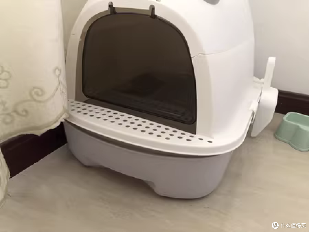 极简养猫法,只买养猫必需品