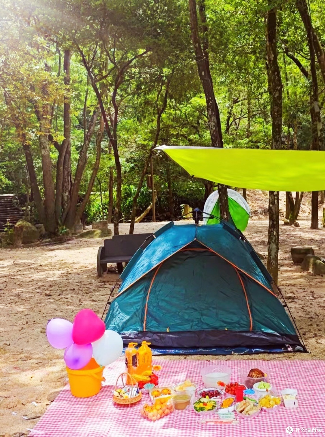 周末,最适合去野餐了