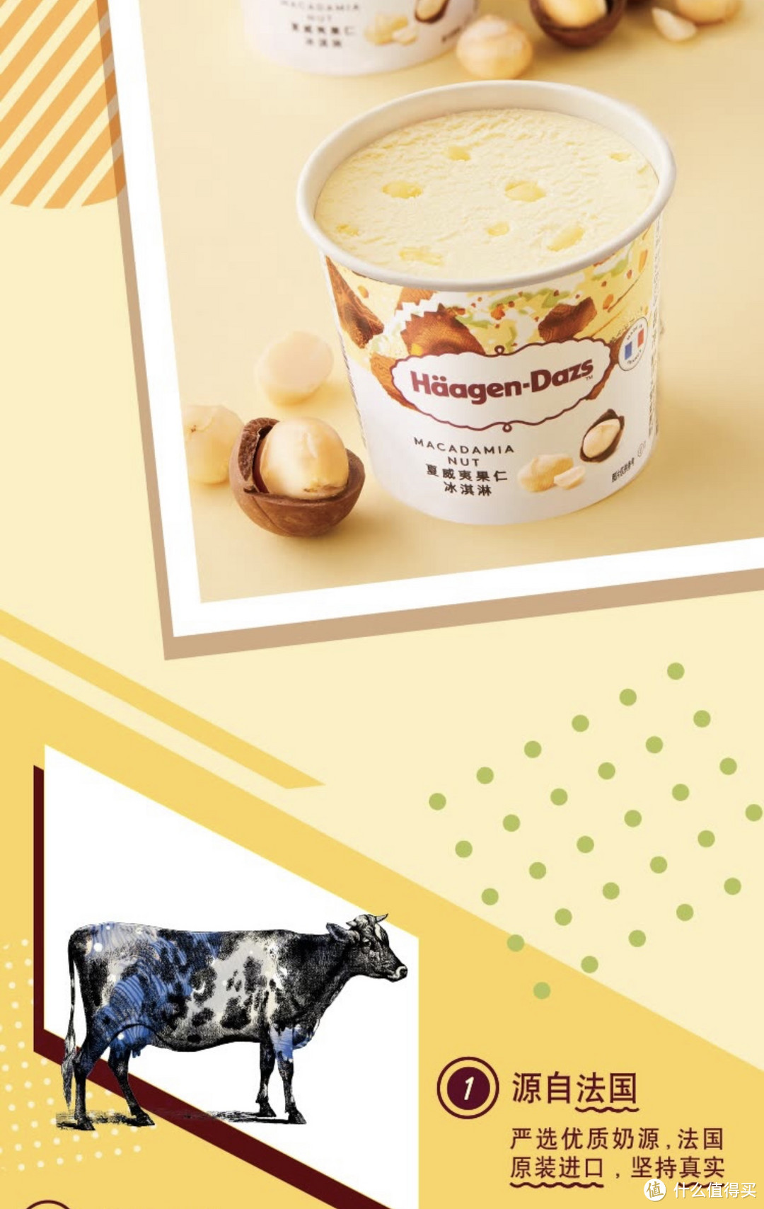 美味的哈根达斯（Haagen-Dazs）经典夏威夷果仁口味冰淇淋