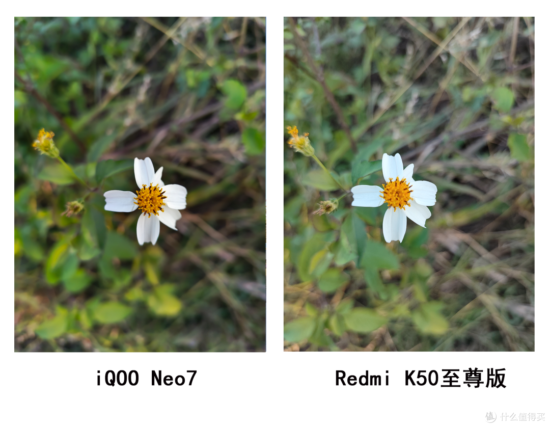 【真机横评】：3000元预算，iQOO Neo7和Redmi K50至尊版，哪款更值得买？