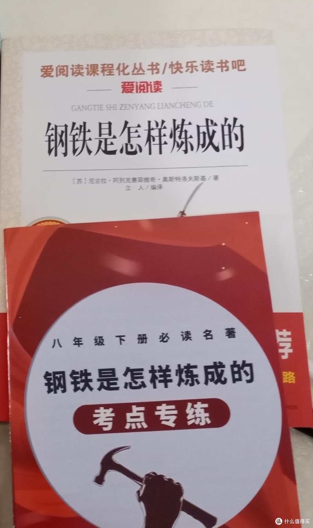 读书有感之《钢铁是怎样炼成的》