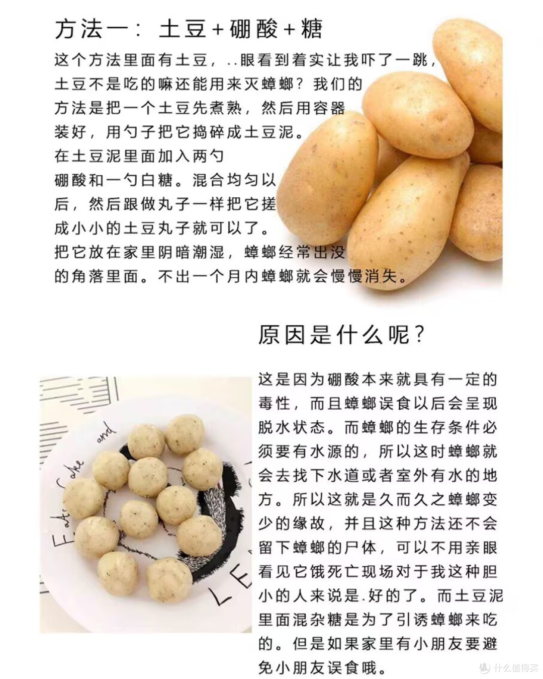 我对小强下手了,一发入魂