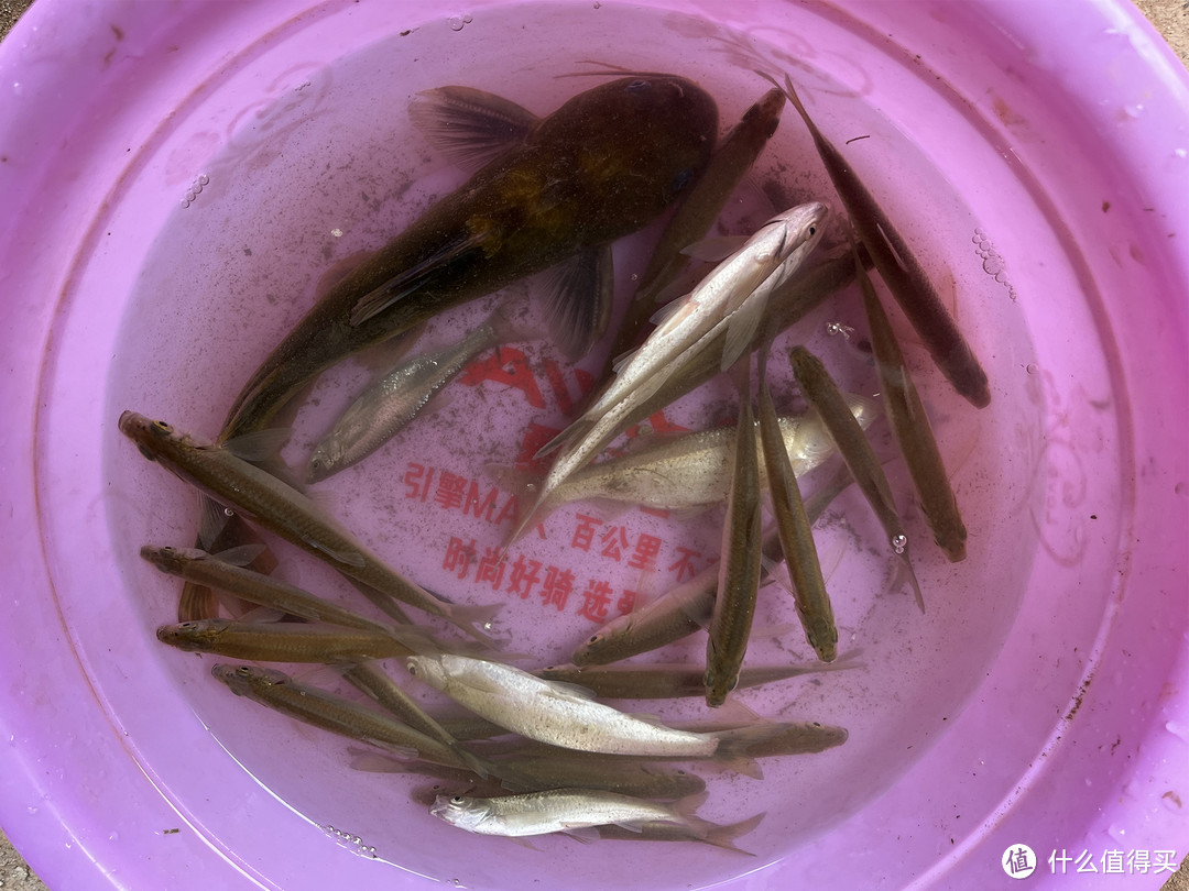 我的百元小物钓组分享,一个手提袋就可出门钓鱼!
