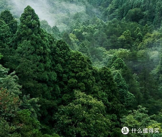 京东京造抽纸——为你带来无微不至的贴心呵护