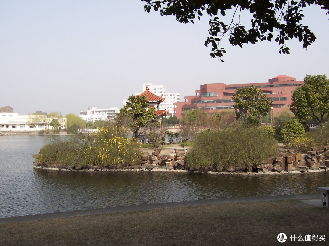 上海交通大学闵行校区思源湖边的记忆/湖边的风景/闵行校区的中心地带，绿树成荫，花草葱茏/高考加油