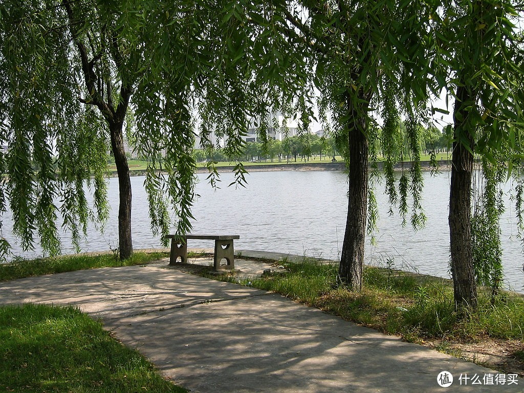 上海交通大学闵行校区思源湖边的记忆/湖边的风景/闵行校区的中心地带，绿树成荫，花草葱茏/高考加油