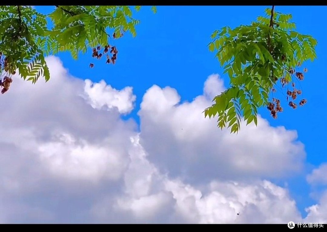 那些年,我们小时候最爱的夏日时光