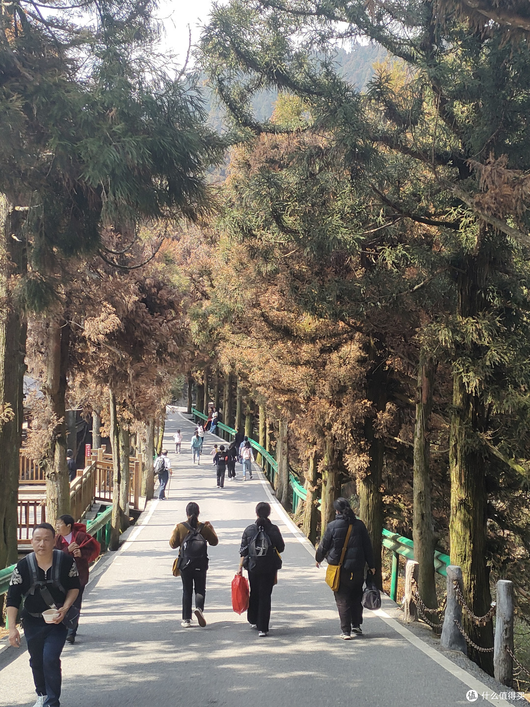 美好的一家人南岳衡山之旅