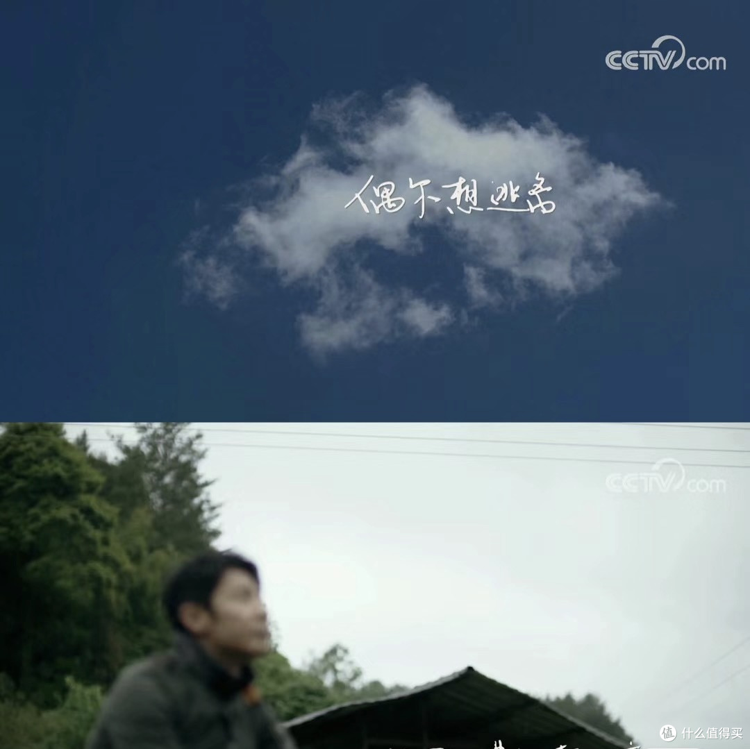 乐哉今岁事，天末稻云黄
