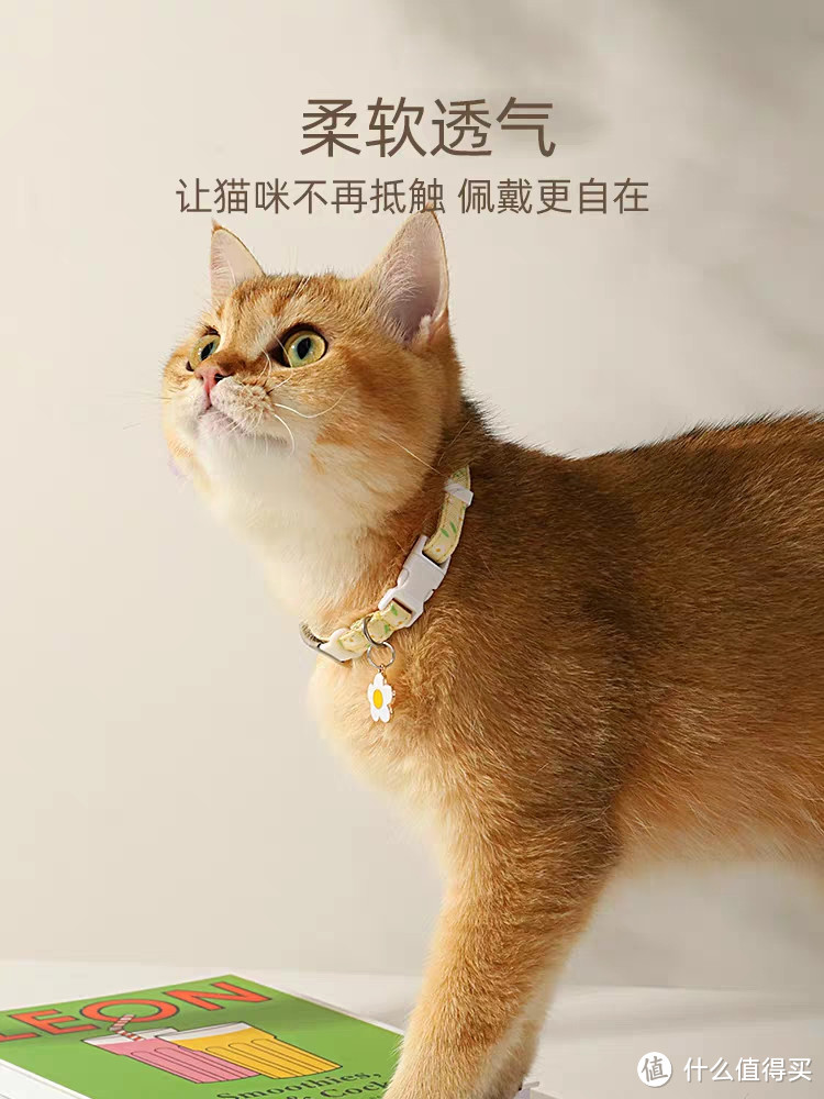 给猫猫选项圈可不能乱选哦，该怎么选?