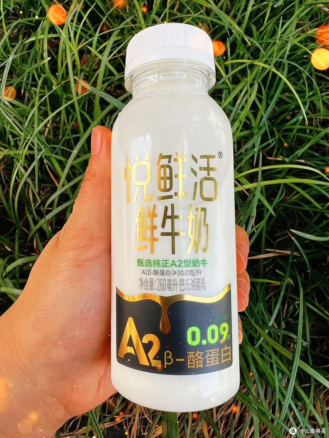 高品质牛奶怎么挑?历史、分类、方法和测评,一篇文章一网打尽