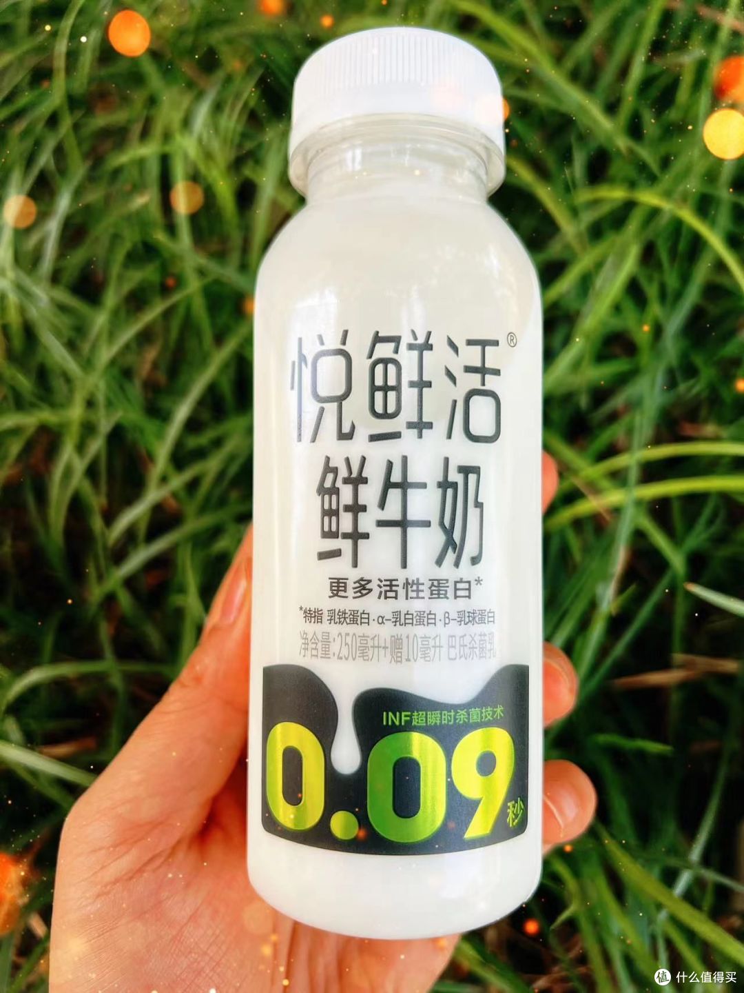 高品质牛奶怎么挑?历史、分类、方法和测评,一篇文章一网打尽