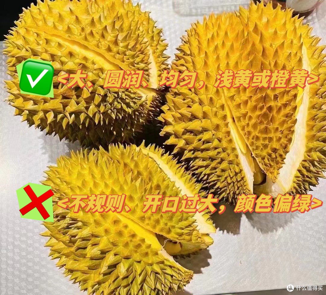 挑选报恩榴莲的终极攻略,教你成为榴莲专家!