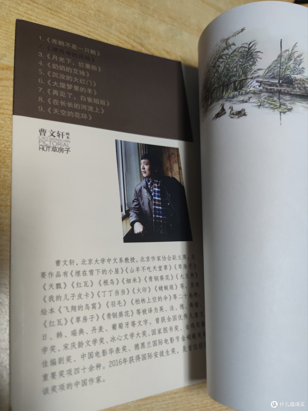 曹文轩《草房子》之《浸月寺的风铃》