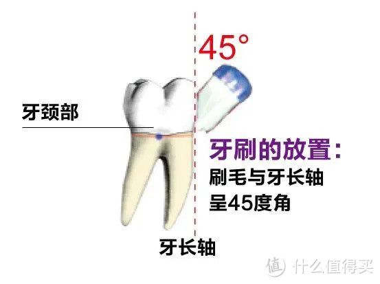 智商税？安慕斯Anmous儿童U型声波牙刷开箱体验