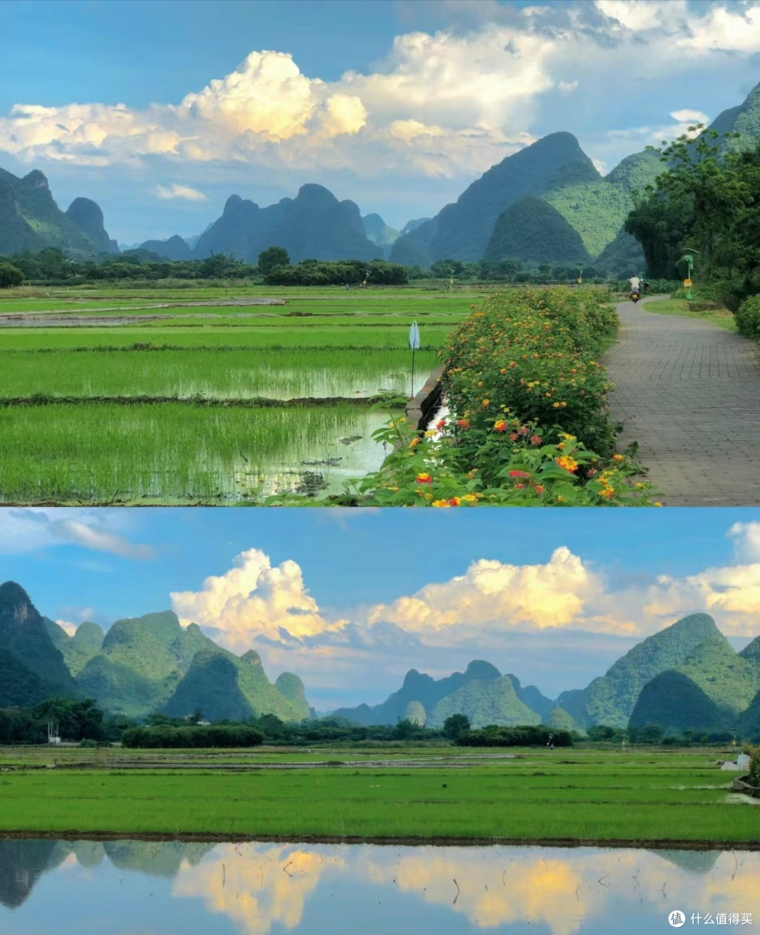 每日美好生活,夏日风景