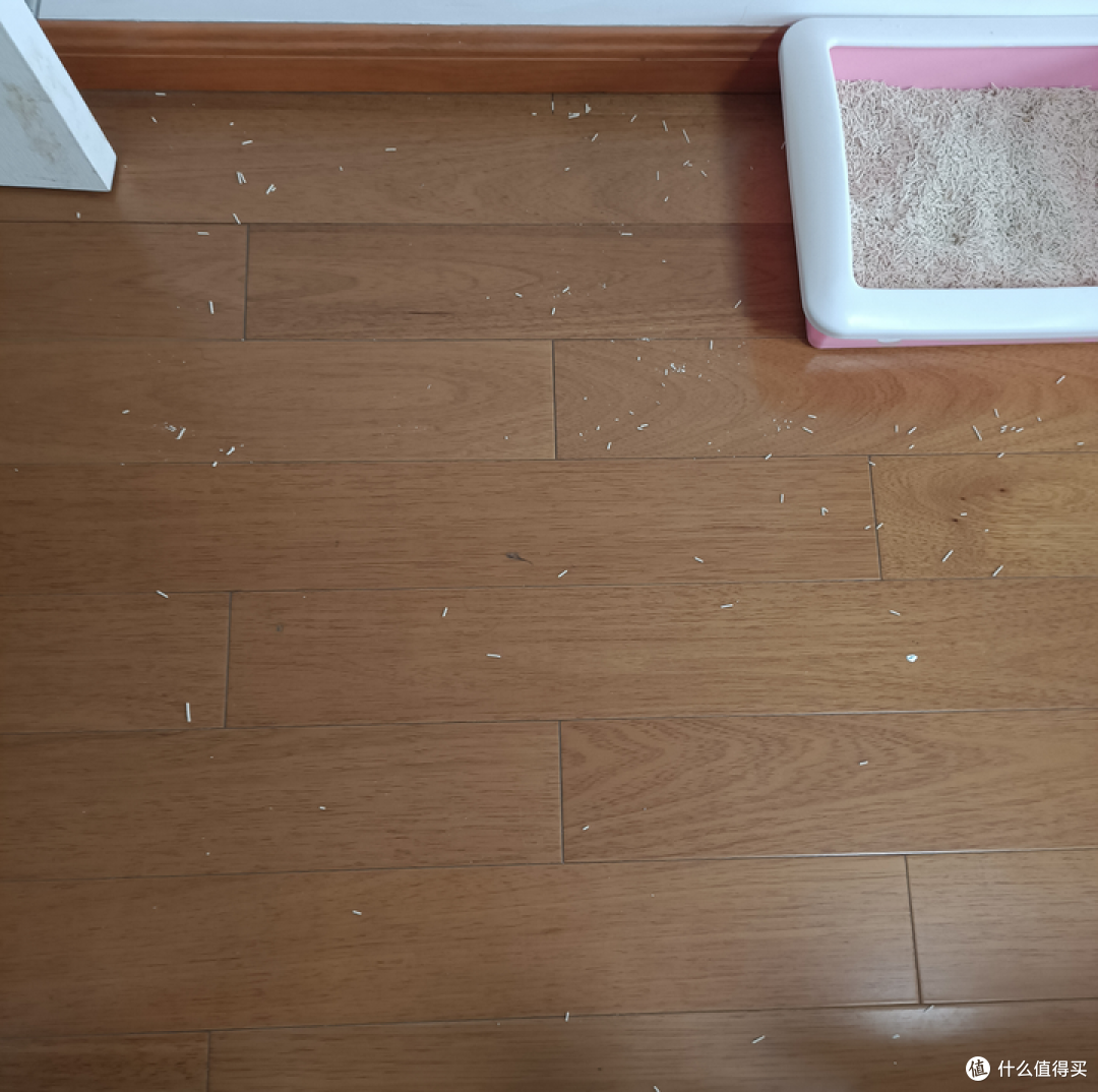 有猫的我也需要一只“小狗”——小狗吸尘器T12 Storm Rinse使用分享