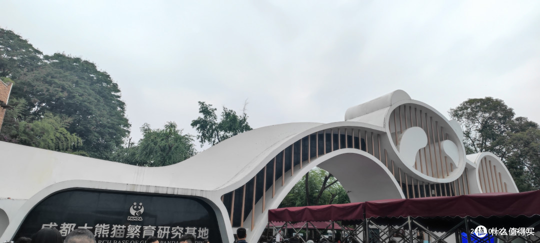 在鸟语花香处品茗，悠然自得间听风——网红成都