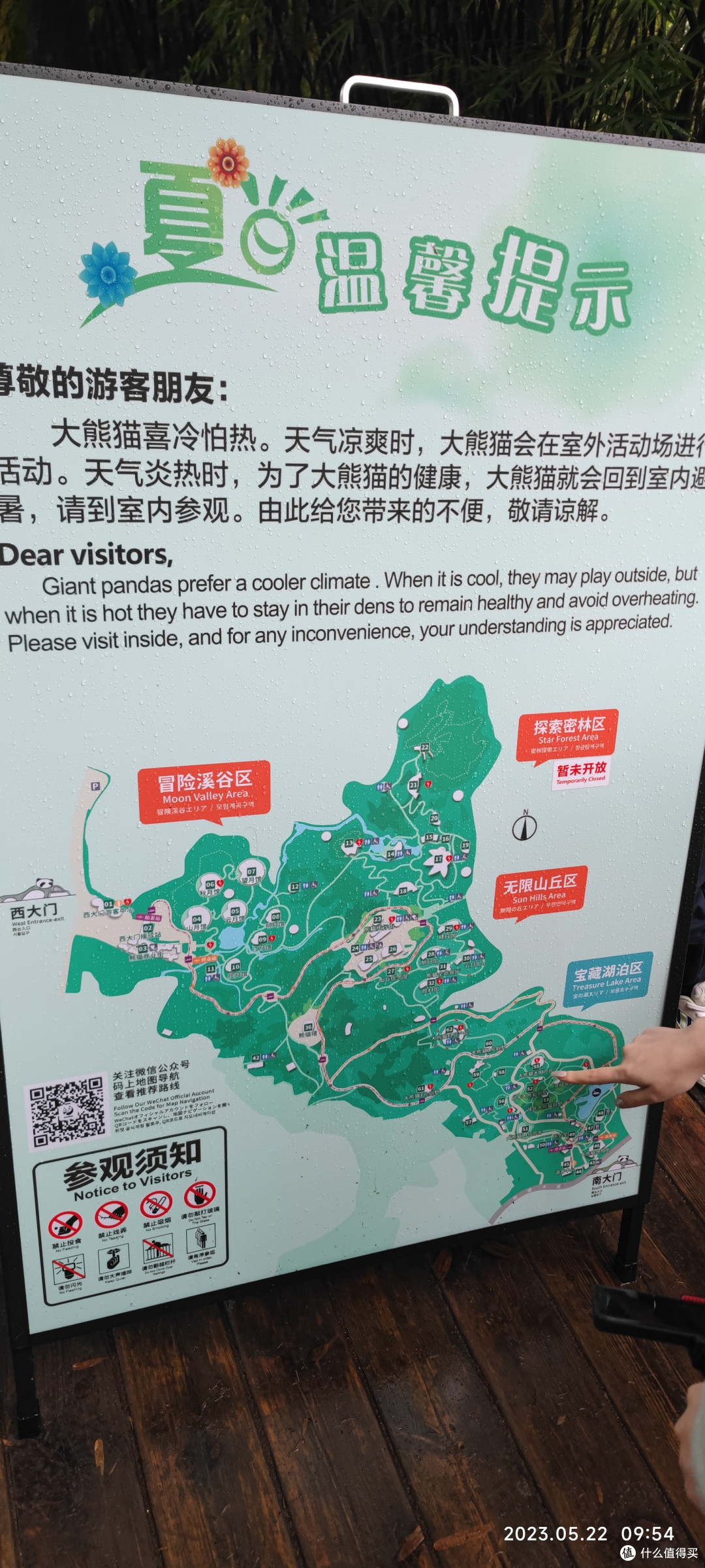 在鸟语花香处品茗，悠然自得间听风——网红成都