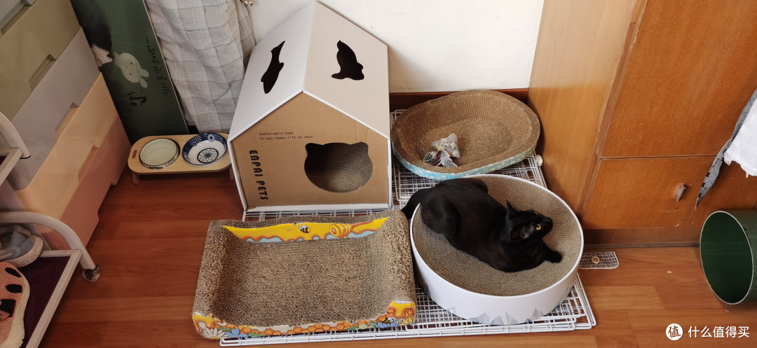 猫抓板真的越硬越好?喵喵偏喜欢软的~