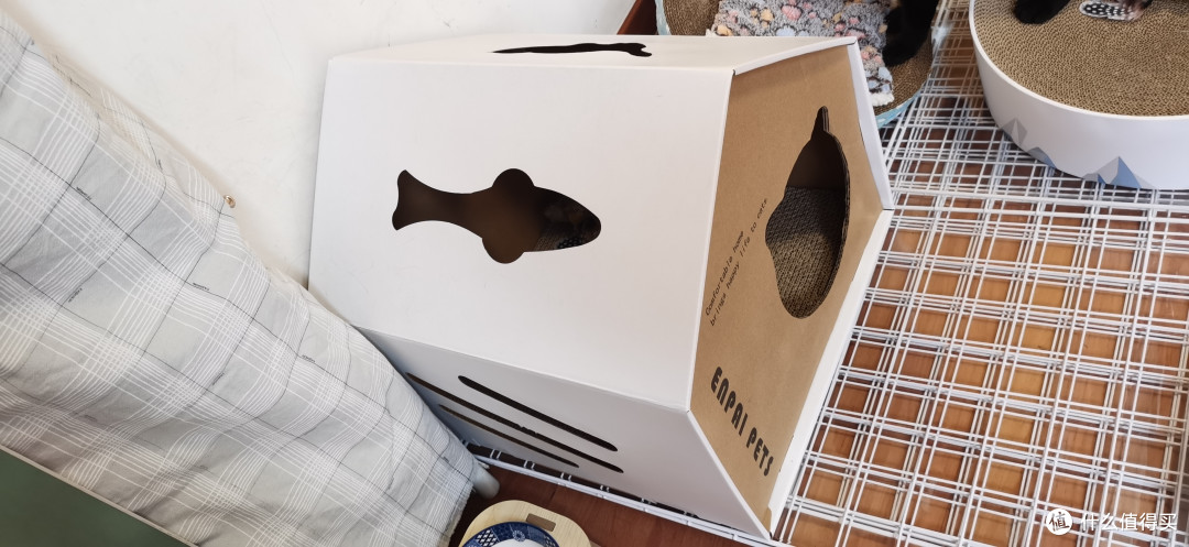 猫抓板真的越硬越好?喵喵偏喜欢软的~