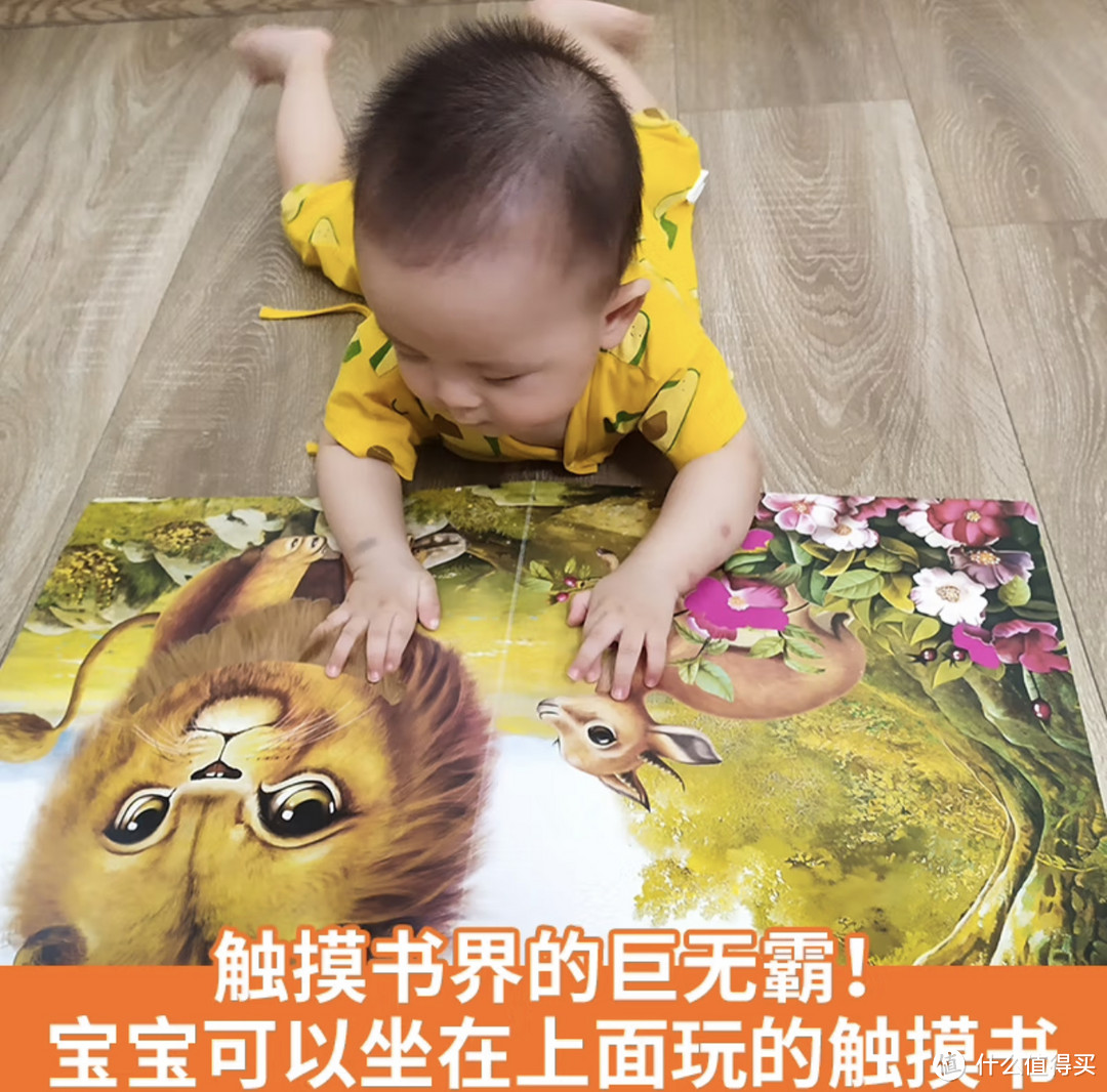 那么大，地板书：宝宝的第一本触摸书，为囤书控必备的立体幼儿读物