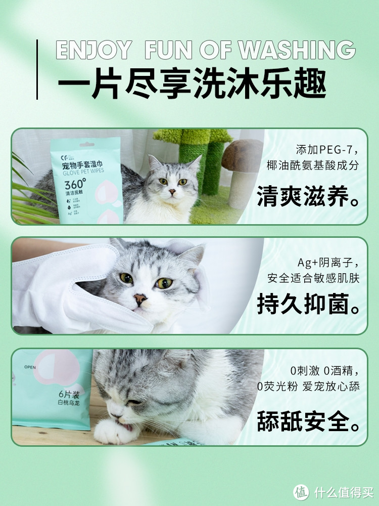 养猫猫，该怎么保持干净卫生无异味呢