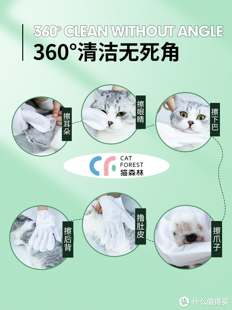 养猫猫，该怎么保持干净卫生无异味呢