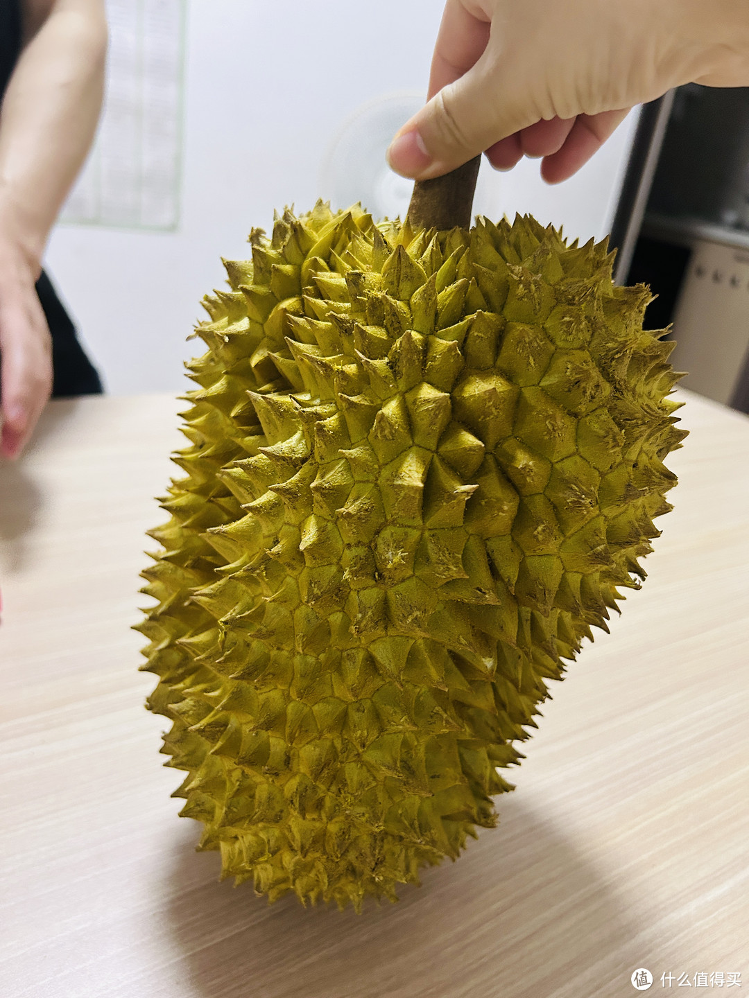 泰国金枕榴莲降价19.9便宜吗?榴莲控的挚爱来啦!