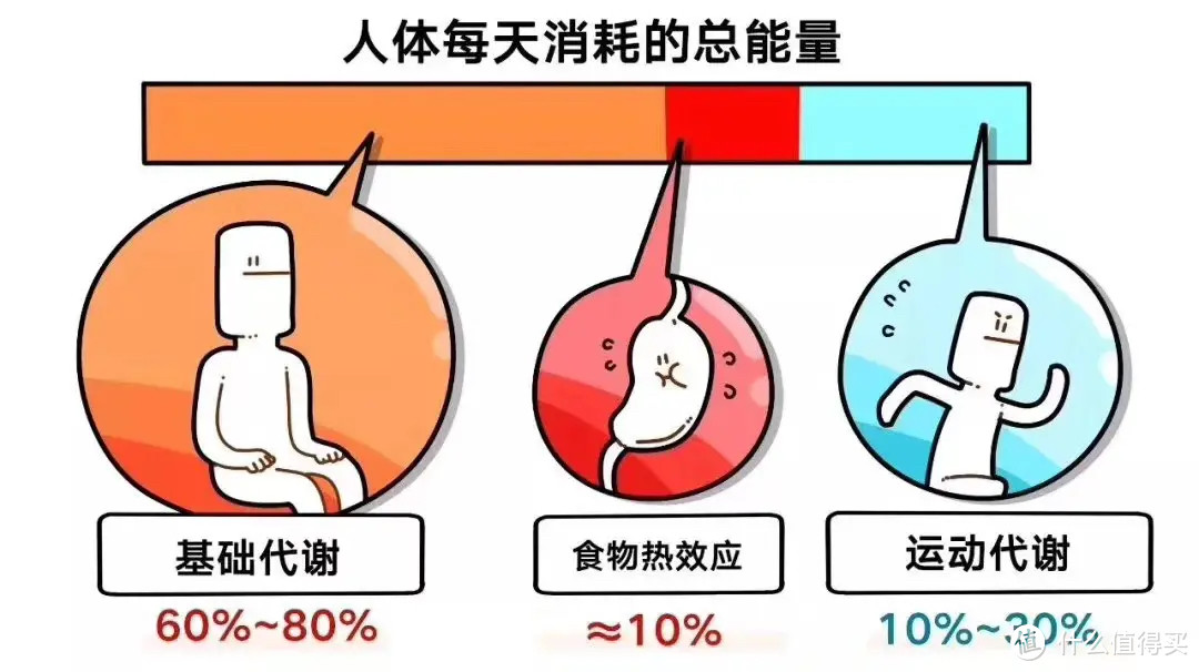 减脂期怎么吃更健康？