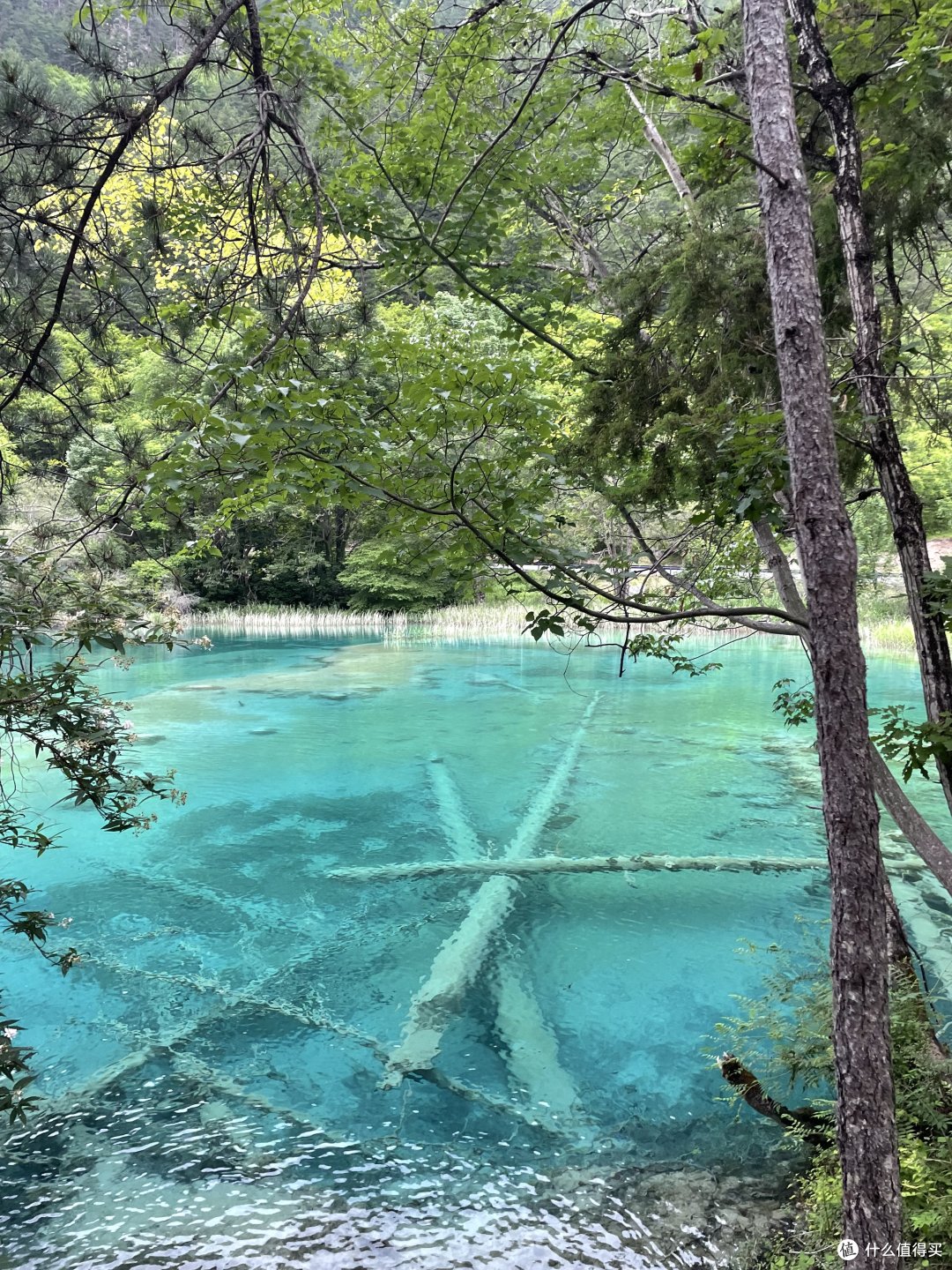 中年男人的独行日记：迷雾中的川西自驾，探寻九寨沟、黄龙之美。