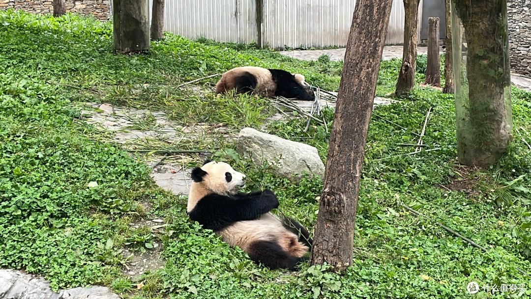 中年男人的独行日记：迷雾中的川西自驾，探寻九寨沟、黄龙之美。