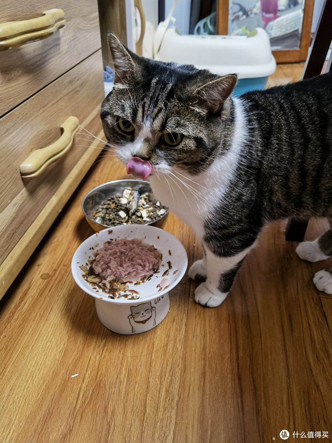 分享猫主子的日常零食罐头